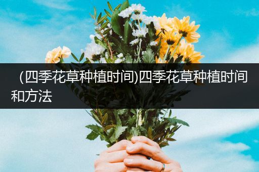 （四季花草种植时间)四季花草种植时间和方法