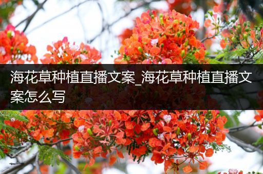 海花草种植直播文案_海花草种植直播文案怎么写