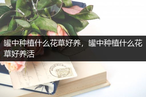罐中种植什么花草好养，罐中种植什么花草好养活