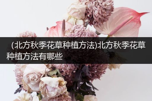 （北方秋季花草种植方法)北方秋季花草种植方法有哪些