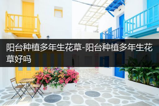阳台种植多年生花草-阳台种植多年生花草好吗