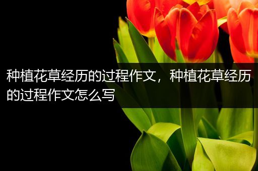 种植花草经历的过程作文，种植花草经历的过程作文怎么写