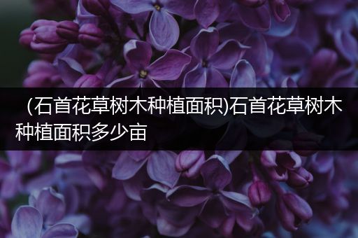 （石首花草树木种植面积)石首花草树木种植面积多少亩