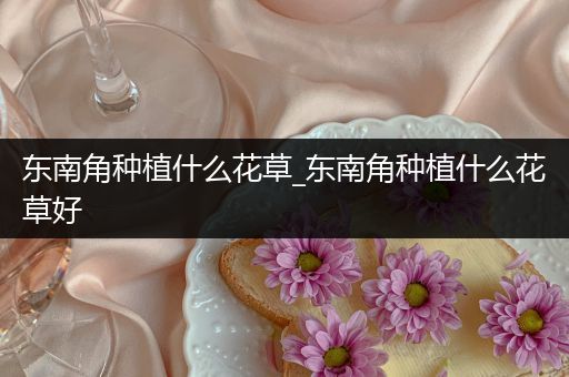 东南角种植什么花草_东南角种植什么花草好