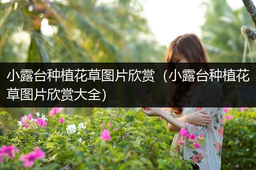 小露台种植花草图片欣赏（小露台种植花草图片欣赏大全）
