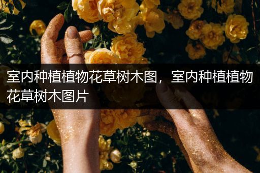 室内种植植物花草树木图，室内种植植物花草树木图片