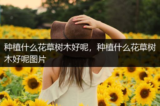种植什么花草树木好呢，种植什么花草树木好呢图片