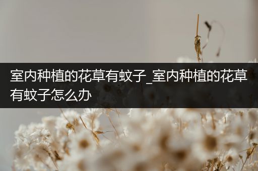 室内种植的花草有蚊子_室内种植的花草有蚊子怎么办