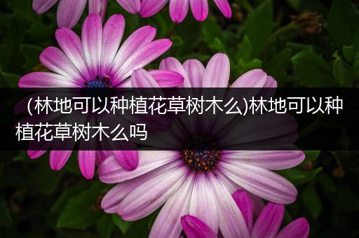 （林地可以种植花草树木么)林地可以种植花草树木么吗