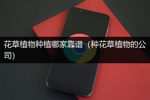 花草植物种植哪家靠谱（种花草植物的公司）