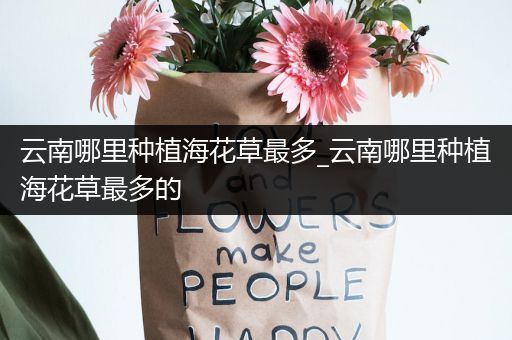 云南哪里种植海花草最多_云南哪里种植海花草最多的