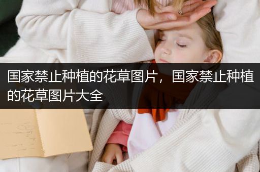 国家禁止种植的花草图片，国家禁止种植的花草图片大全