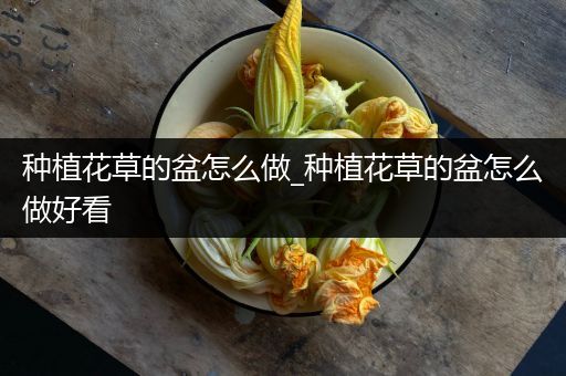 种植花草的盆怎么做_种植花草的盆怎么做好看