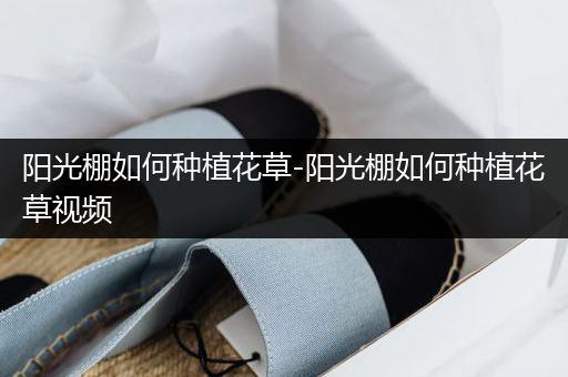 阳光棚如何种植花草-阳光棚如何种植花草视频