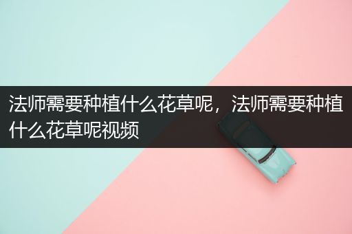 法师需要种植什么花草呢，法师需要种植什么花草呢视频
