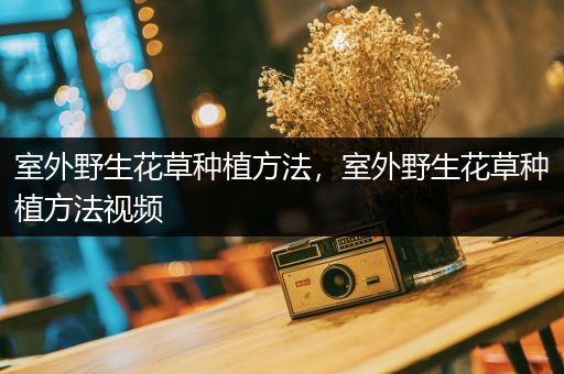室外野生花草种植方法，室外野生花草种植方法视频