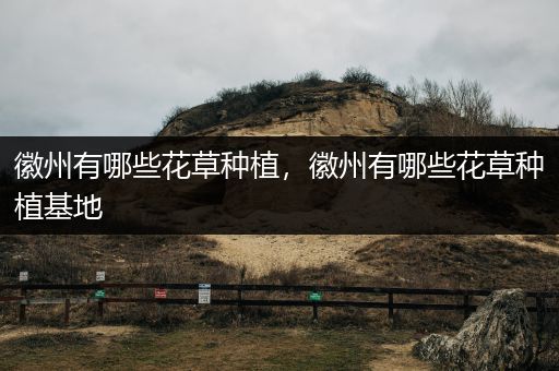 徽州有哪些花草种植，徽州有哪些花草种植基地