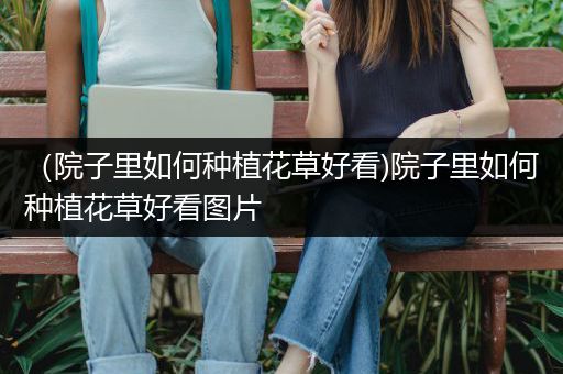 （院子里如何种植花草好看)院子里如何种植花草好看图片