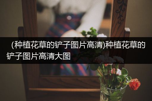 （种植花草的铲子图片高清)种植花草的铲子图片高清大图