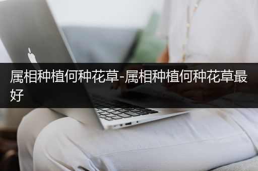 属相种植何种花草-属相种植何种花草最好