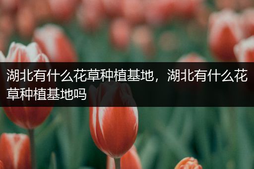 湖北有什么花草种植基地，湖北有什么花草种植基地吗
