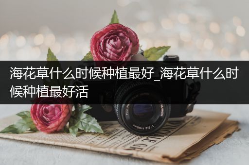 海花草什么时候种植最好_海花草什么时候种植最好活
