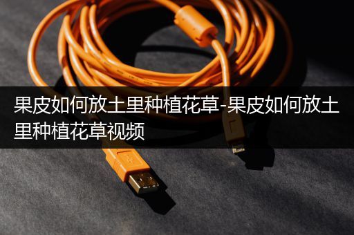果皮如何放土里种植花草-果皮如何放土里种植花草视频