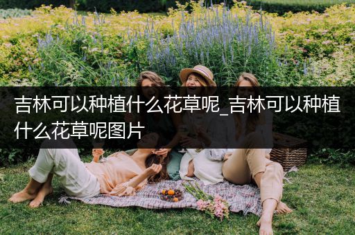 吉林可以种植什么花草呢_吉林可以种植什么花草呢图片