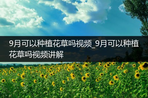 9月可以种植花草吗视频_9月可以种植花草吗视频讲解