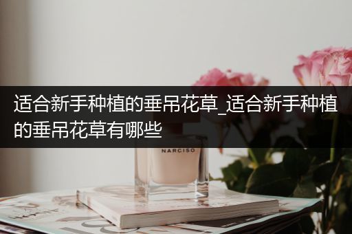 适合新手种植的垂吊花草_适合新手种植的垂吊花草有哪些