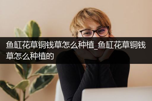 鱼缸花草铜钱草怎么种植_鱼缸花草铜钱草怎么种植的