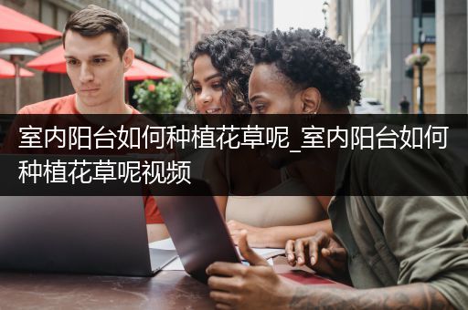 室内阳台如何种植花草呢_室内阳台如何种植花草呢视频