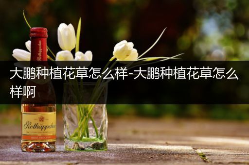 大鹏种植花草怎么样-大鹏种植花草怎么样啊