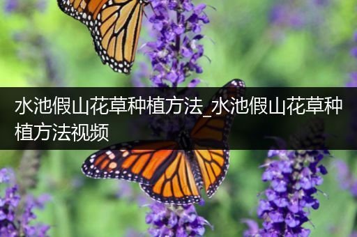 水池假山花草种植方法_水池假山花草种植方法视频