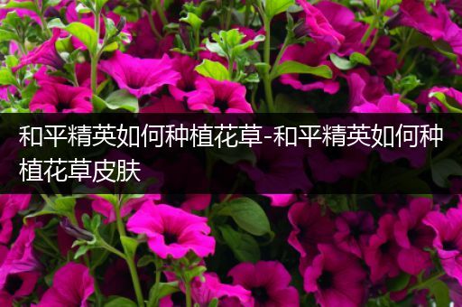 和平精英如何种植花草-和平精英如何种植花草皮肤