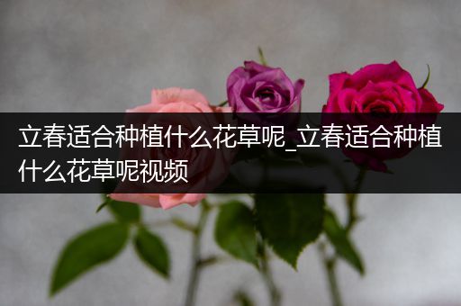 立春适合种植什么花草呢_立春适合种植什么花草呢视频