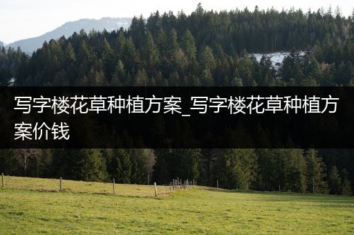 写字楼花草种植方案_写字楼花草种植方案价钱