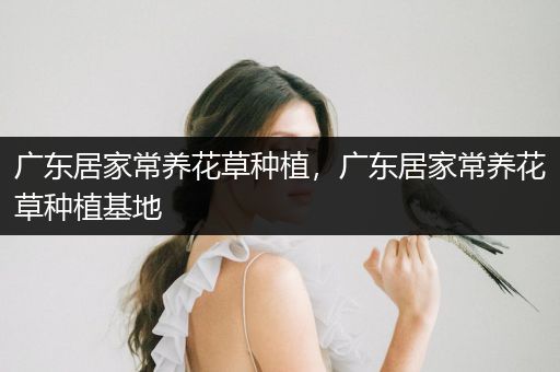 广东居家常养花草种植，广东居家常养花草种植基地