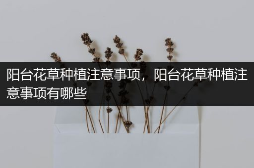 阳台花草种植注意事项，阳台花草种植注意事项有哪些