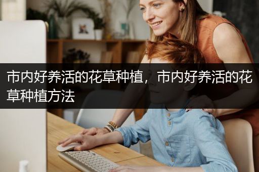 市内好养活的花草种植，市内好养活的花草种植方法