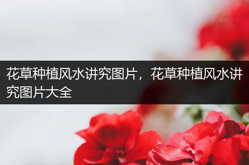 花草种植风水讲究图片，花草种植风水讲究图片大全