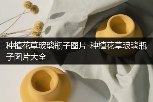 种植花草玻璃瓶子图片-种植花草玻璃瓶子图片大全