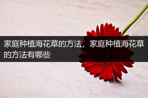 家庭种植海花草的方法，家庭种植海花草的方法有哪些