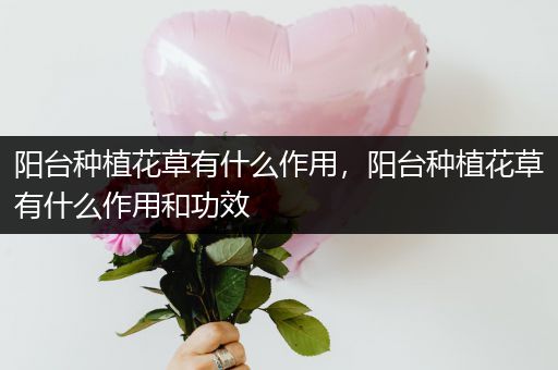 阳台种植花草有什么作用，阳台种植花草有什么作用和功效