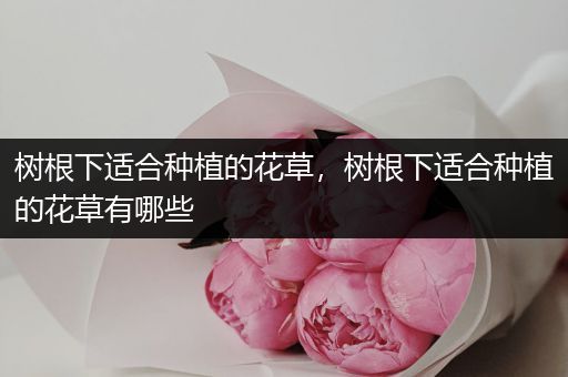 树根下适合种植的花草，树根下适合种植的花草有哪些