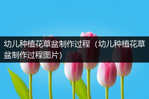 幼儿种植花草盆制作过程（幼儿种植花草盆制作过程图片）