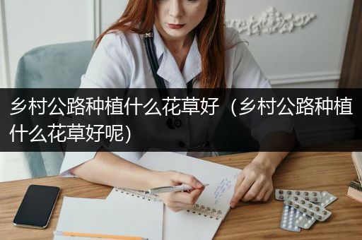 乡村公路种植什么花草好（乡村公路种植什么花草好呢）