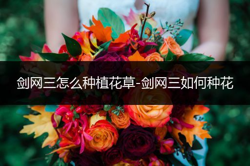剑网三怎么种植花草-剑网三如何种花