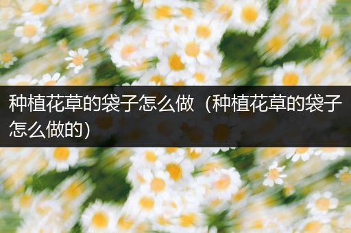 种植花草的袋子怎么做（种植花草的袋子怎么做的）