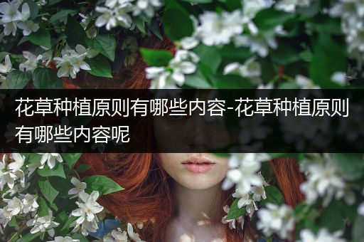 花草种植原则有哪些内容-花草种植原则有哪些内容呢